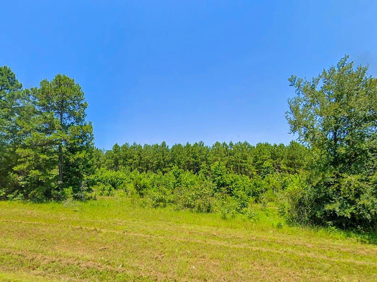 27 acres in Cass County - photo 4