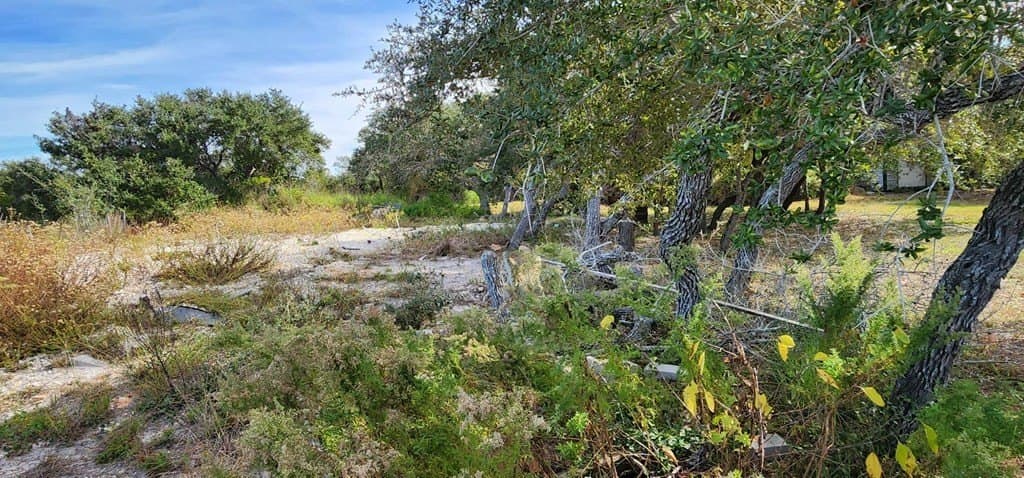 0 acres in Texas County gallery image 4