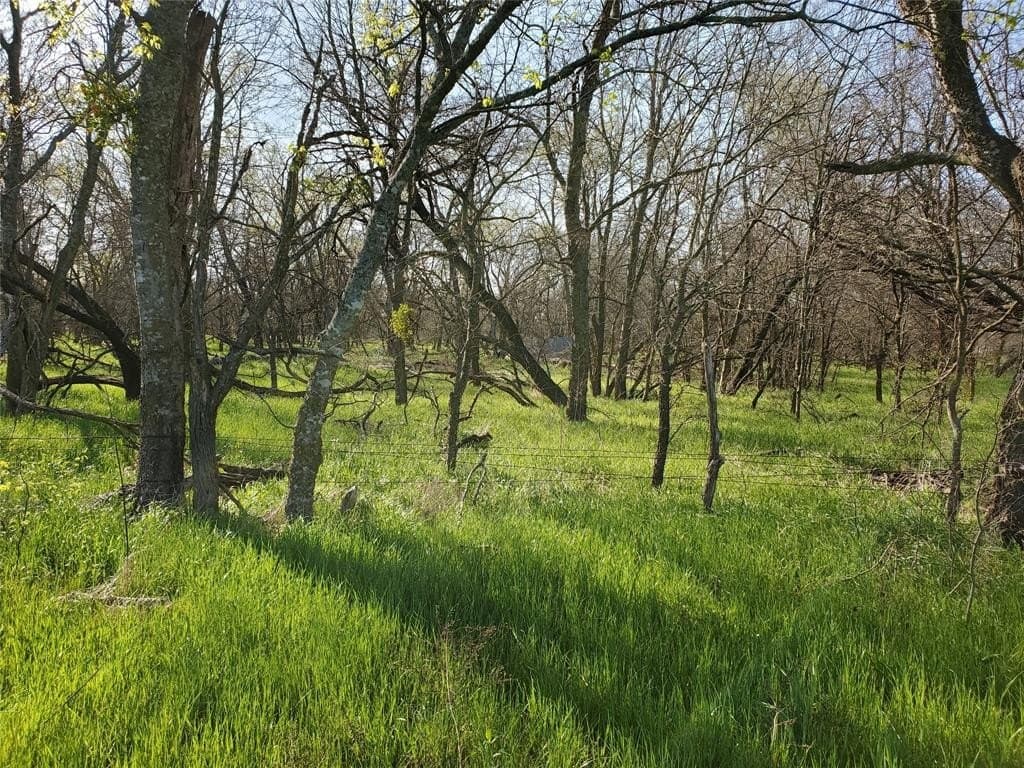 9.85 acres in Hill County gallery image 3