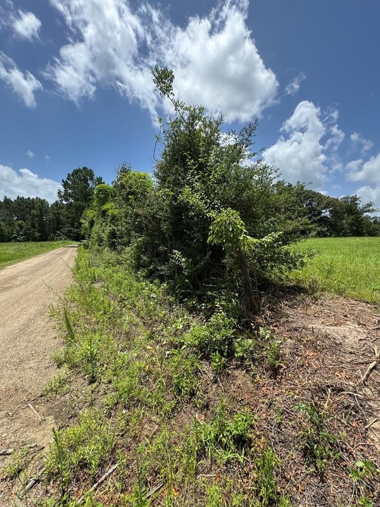 5.76 acres in Texas County gallery image 3