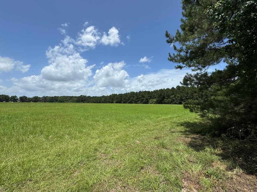 5.76 acres in Texas County featured view