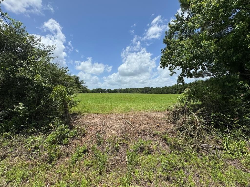 5.76 acres in Texas County gallery image 2