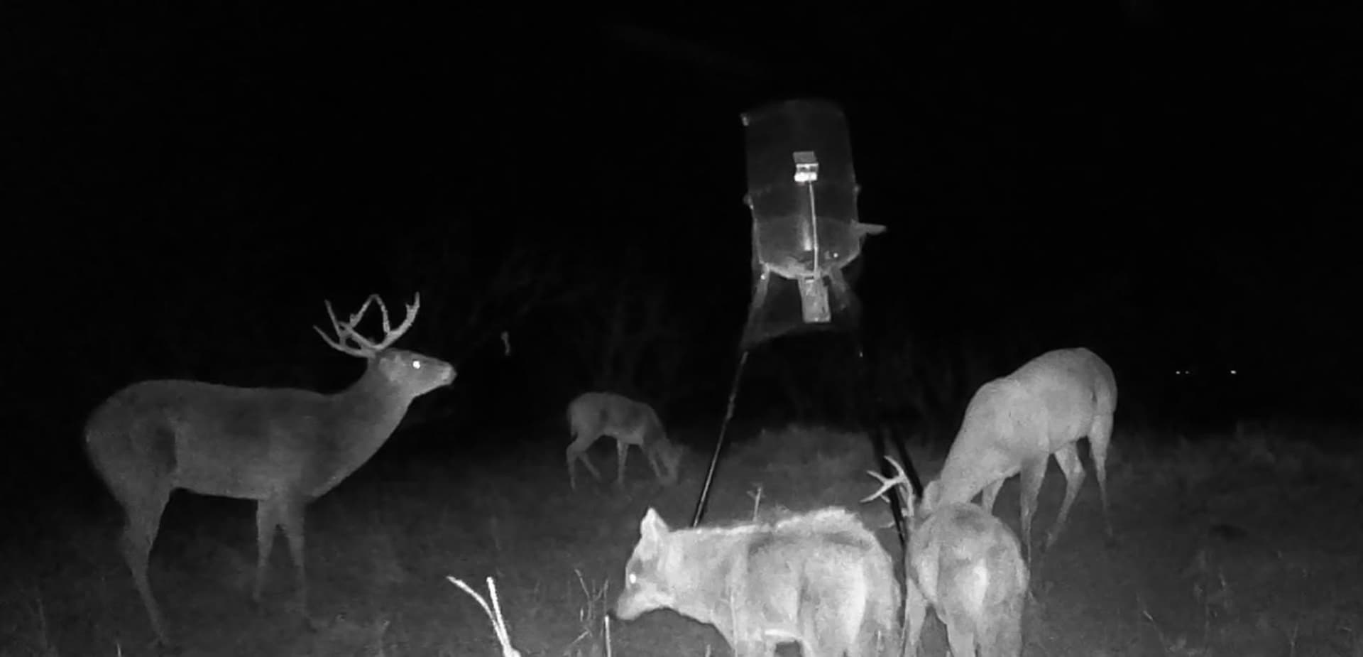51.38 acres in Taylor County - photo 6
