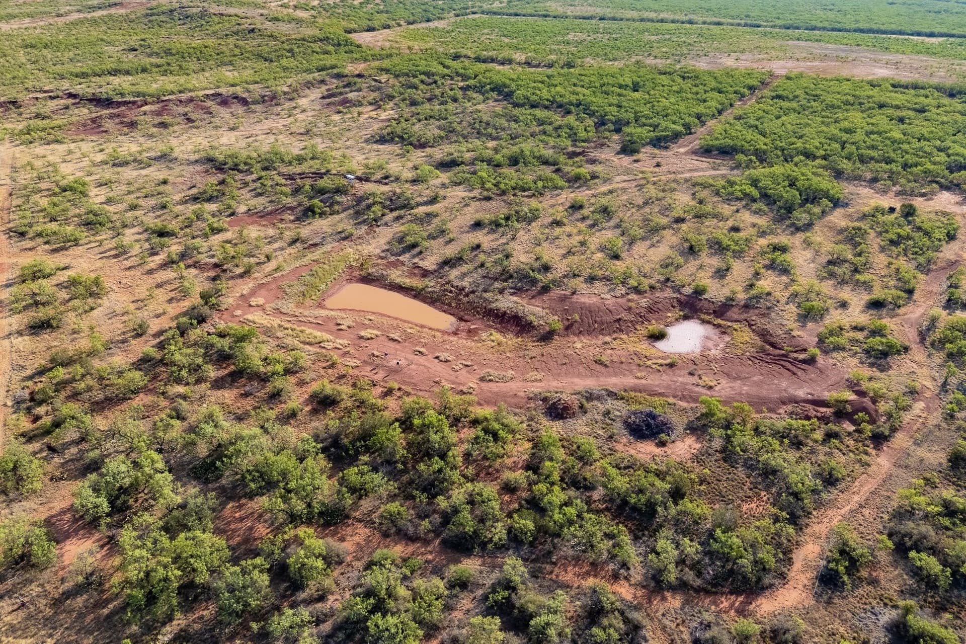 51.38 acres in Taylor County - photo 20