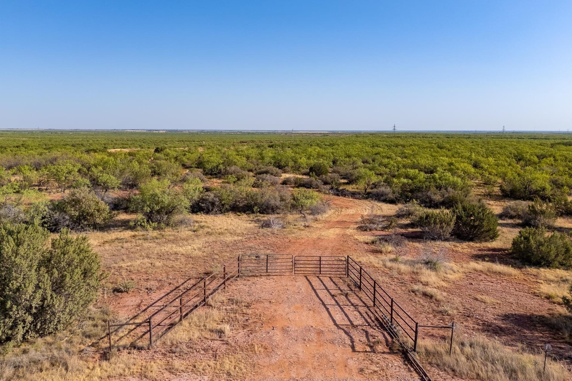 51.38 acres in Taylor County - photo 4