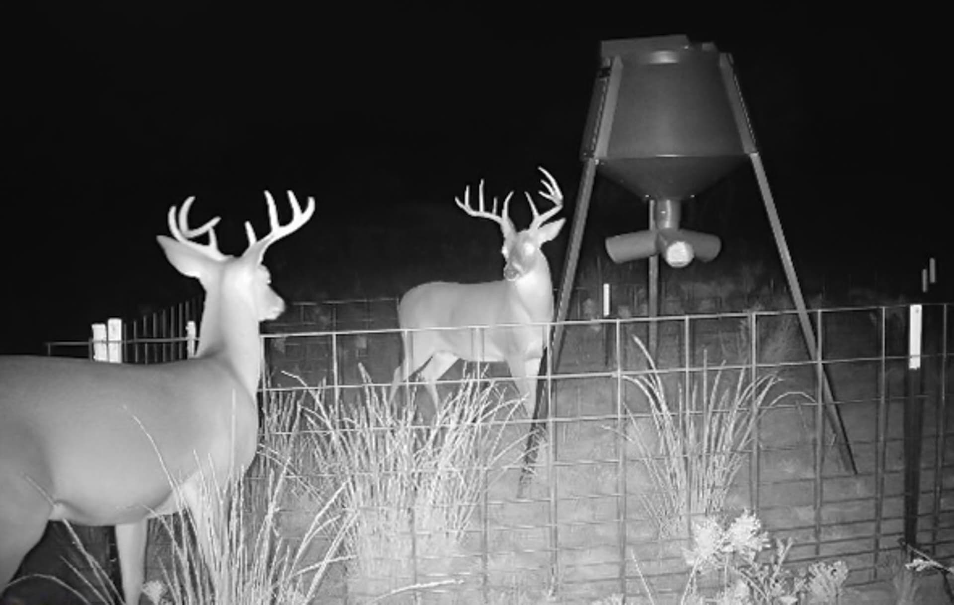 51.38 acres in Taylor County - photo 7