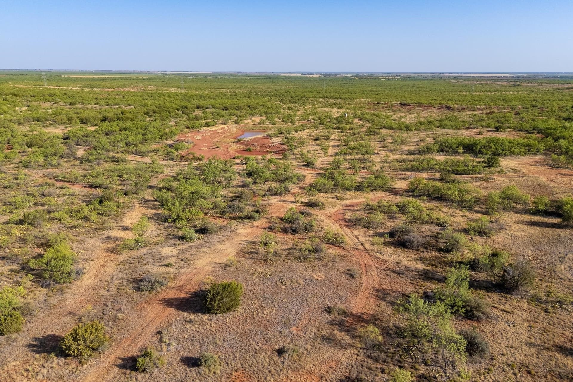 51.38 acres in Taylor County - photo 10