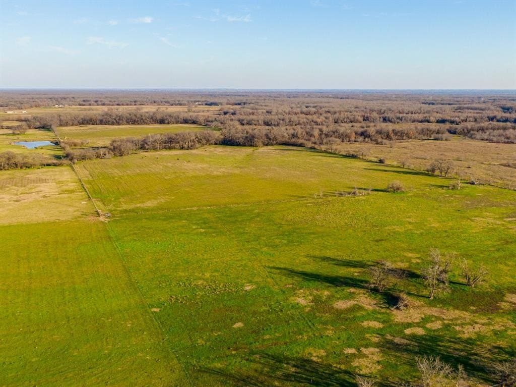 85.06 acres in Hopkins County gallery image 3