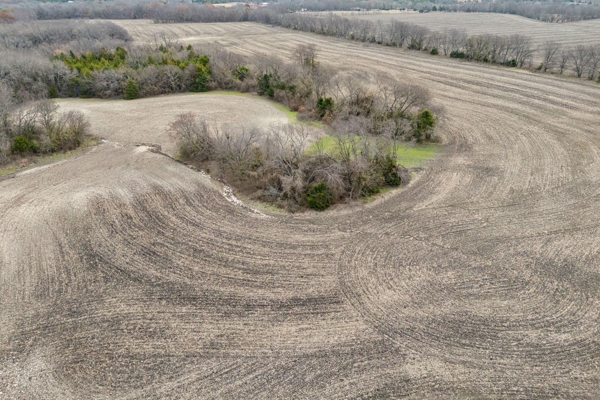 51 acres in Collin County - photo 11