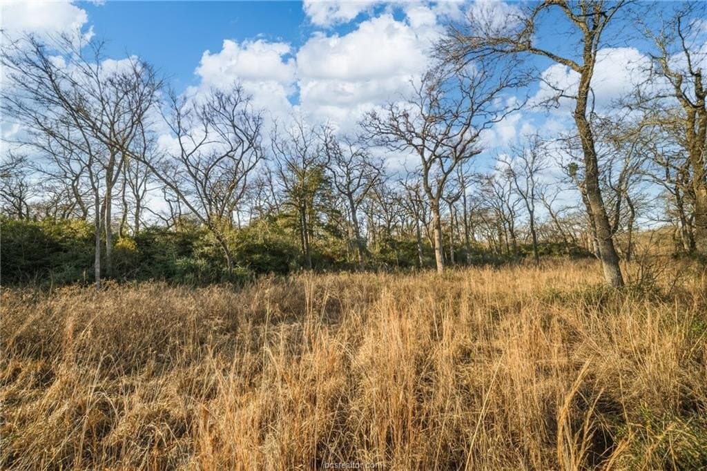 10 acres in Robertson County gallery image 3