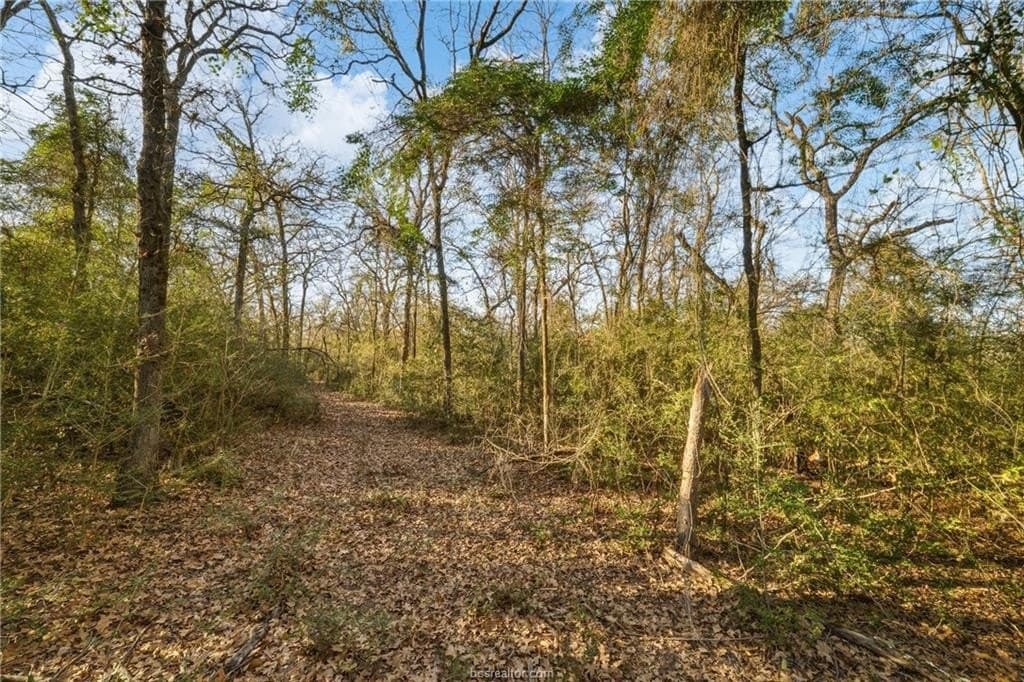 10 acres in Robertson County featured view
