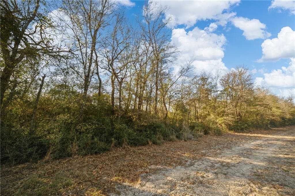 10 acres in Robertson County gallery image 4