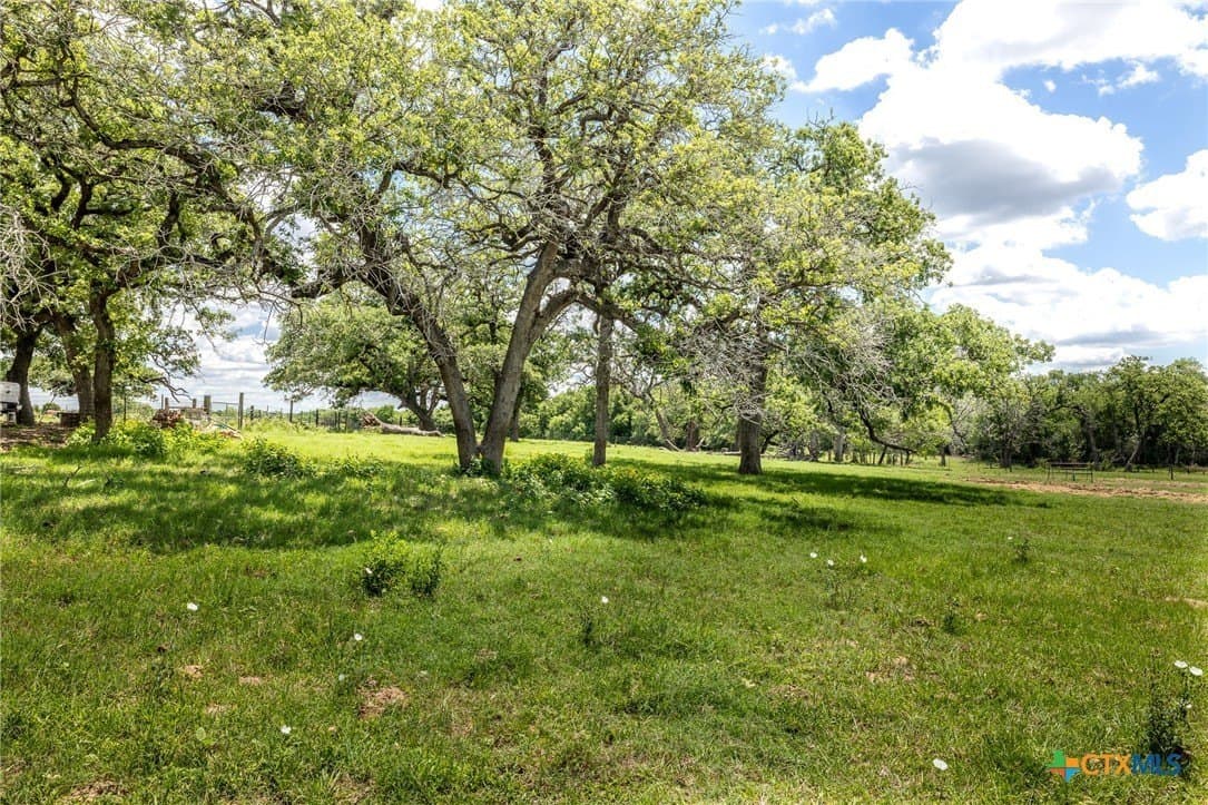 30.03 acres in Gonzales County - photo 37