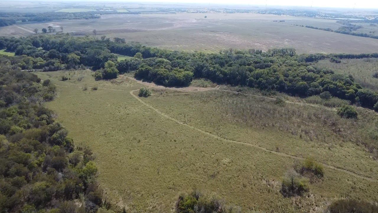 1,220 acres in Navarro County - photo 15