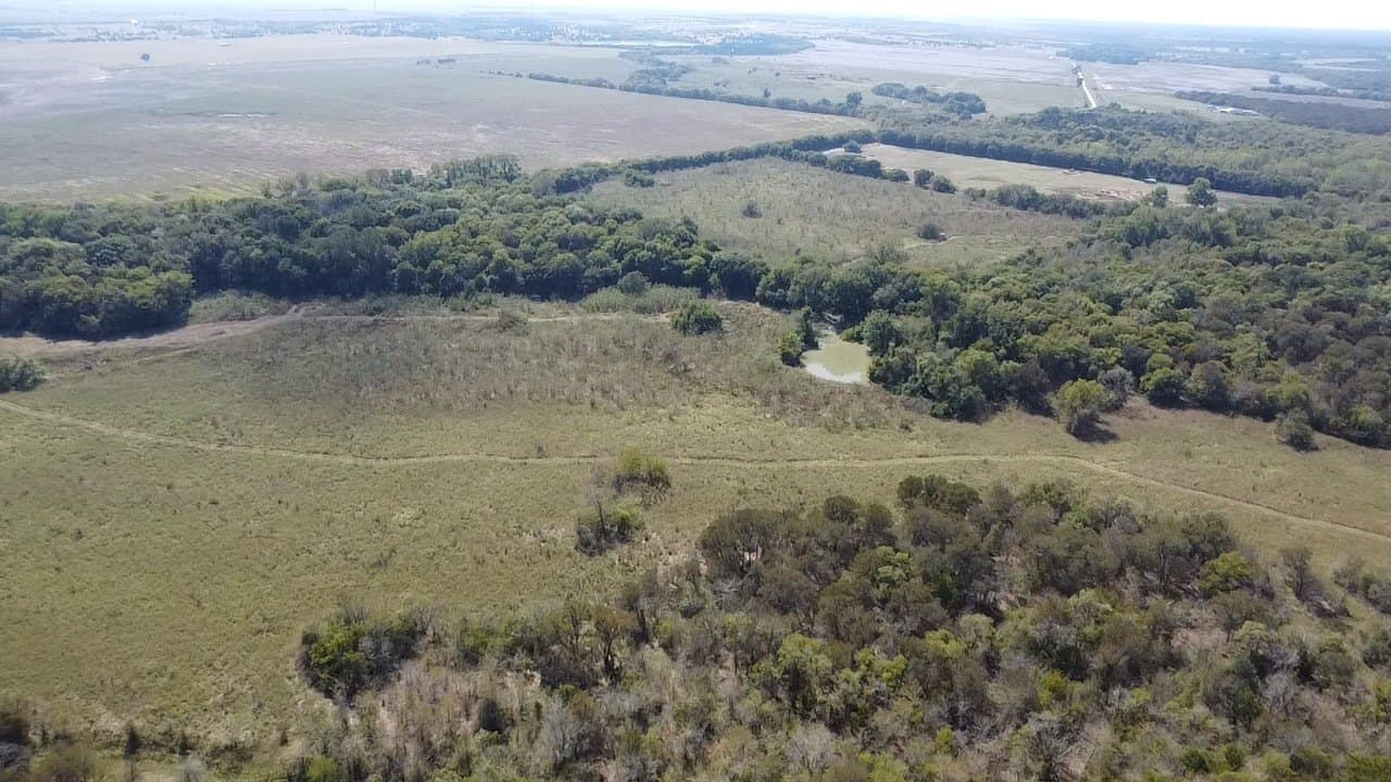 1,220 acres in Navarro County gallery image 4