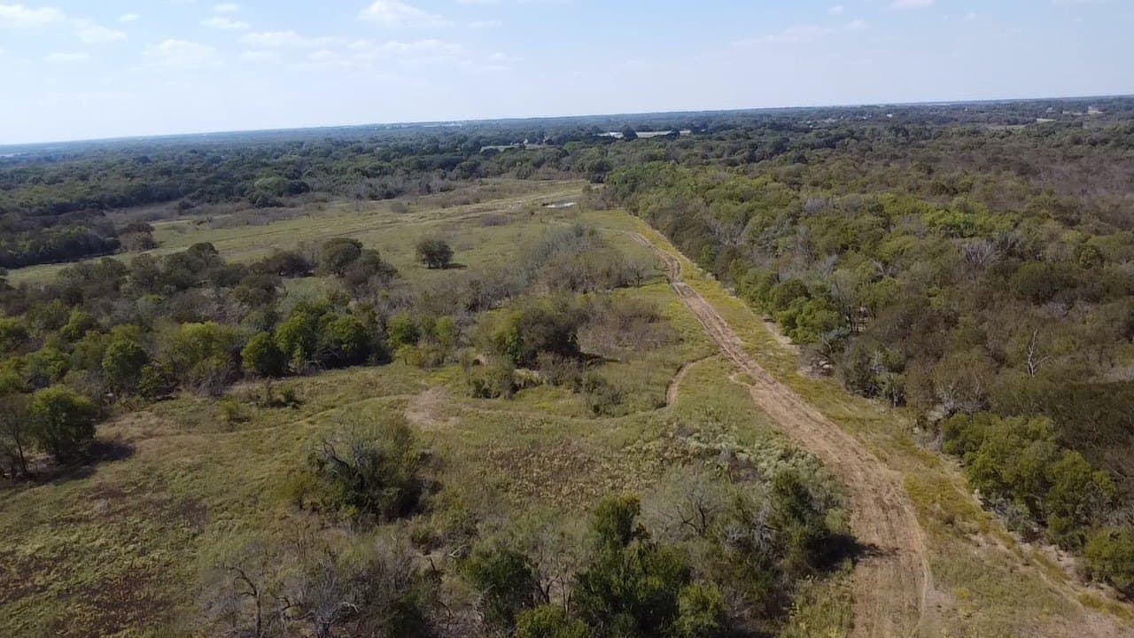 1,220 acres in Navarro County - photo 29