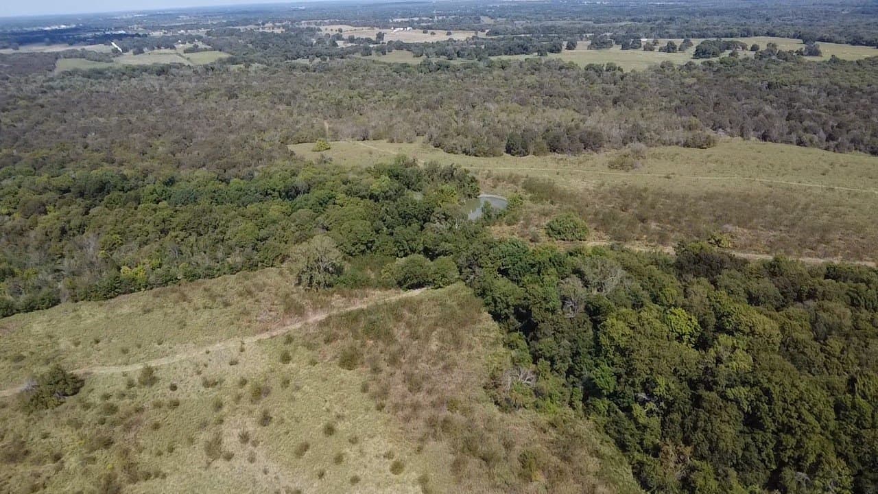1,220 acres in Navarro County - photo 14