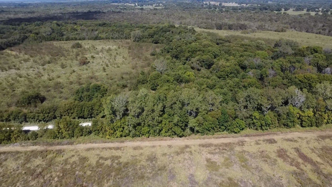 1,220 acres in Navarro County - photo 12
