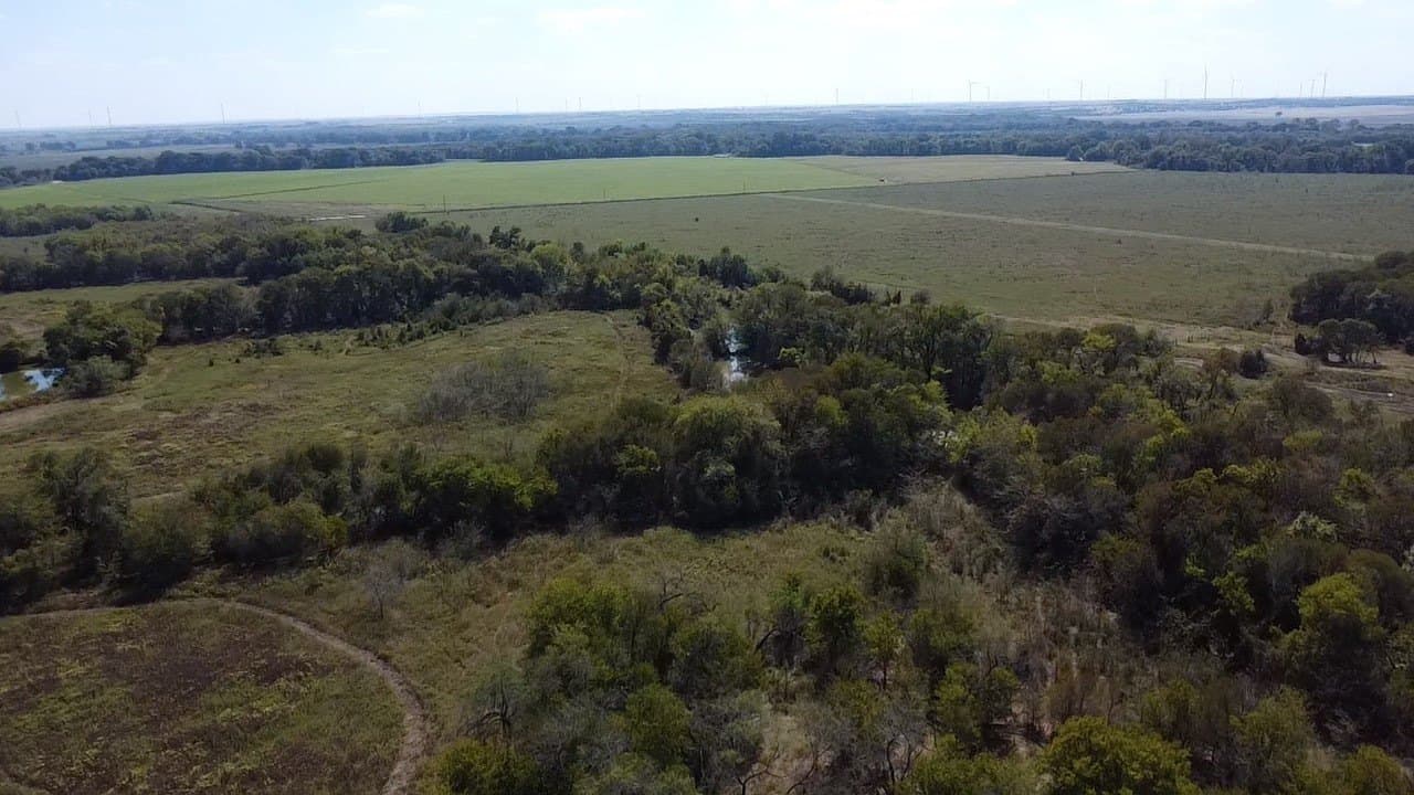 1,220 acres in Navarro County - photo 26
