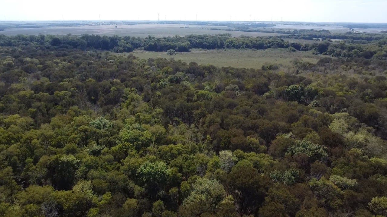 1,220 acres in Navarro County - photo 17