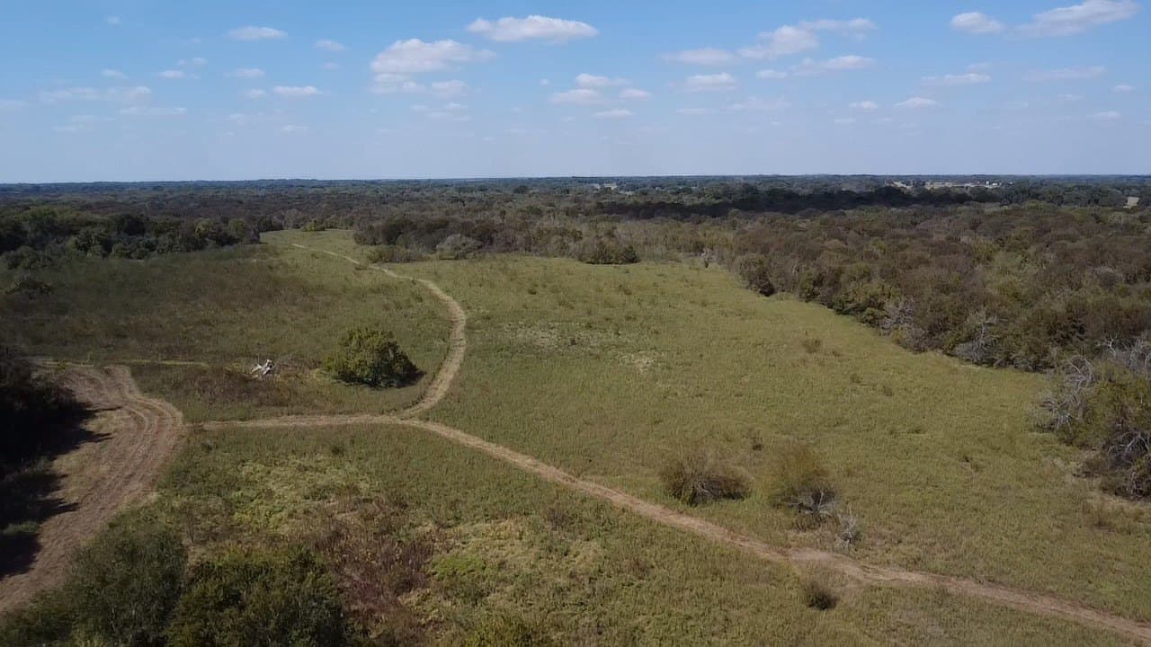 1,220 acres in Navarro County - photo 16