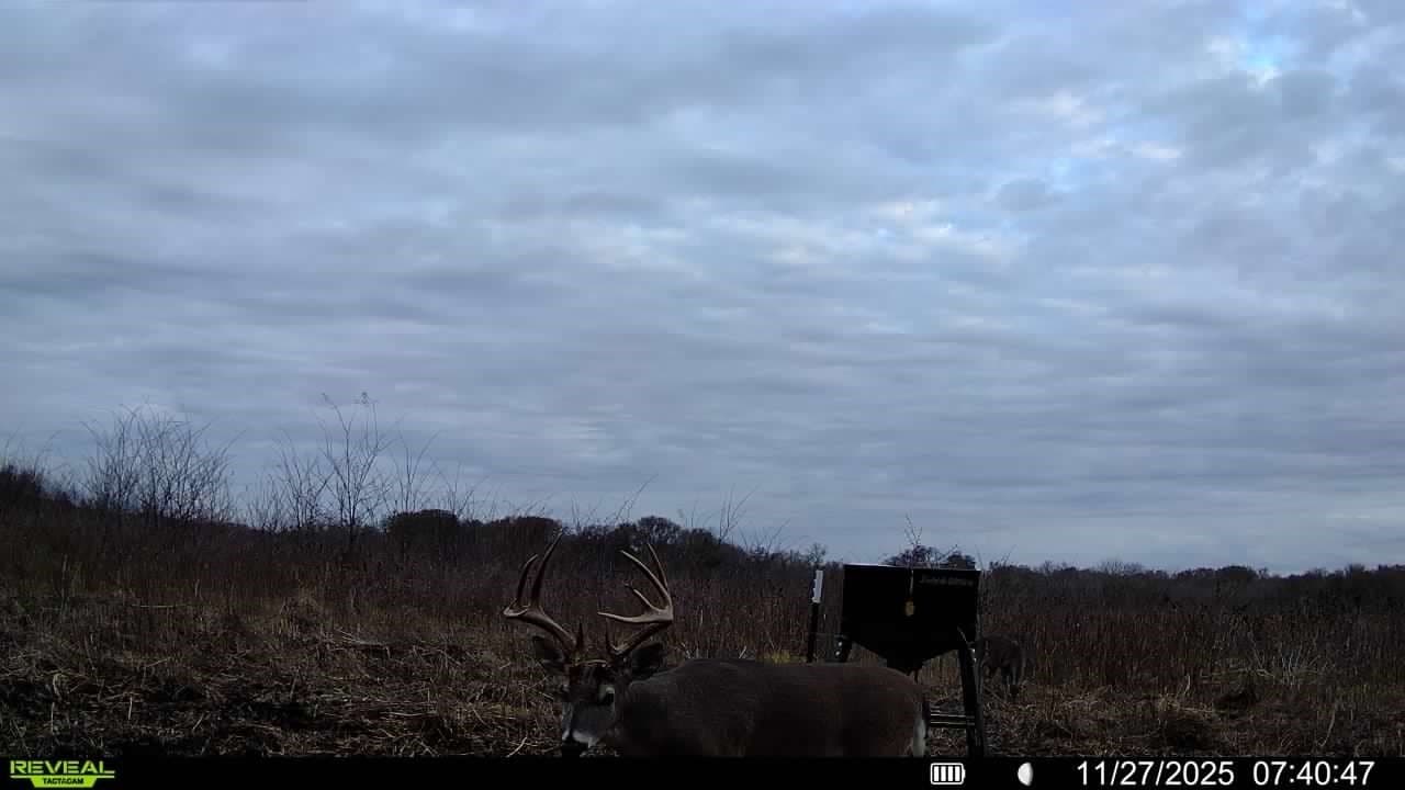 1,220 acres in Navarro County - photo 37