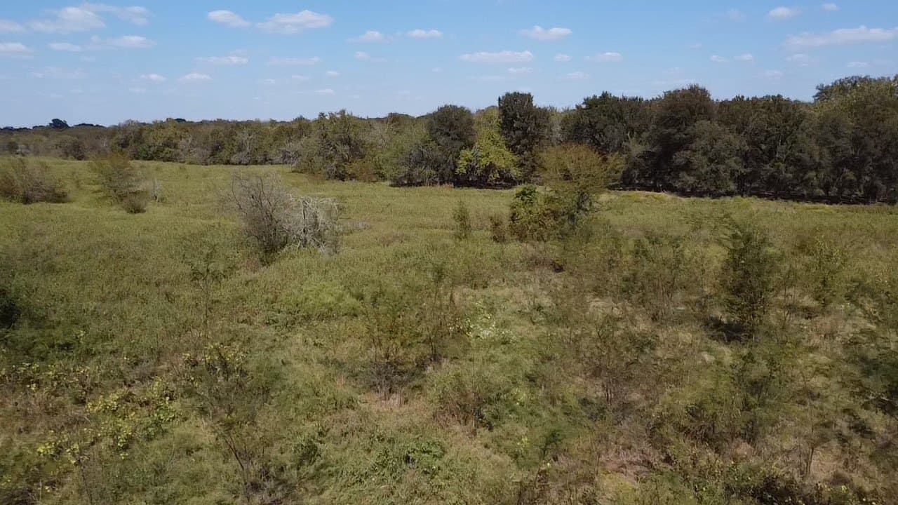 1,220 acres in Navarro County - photo 30