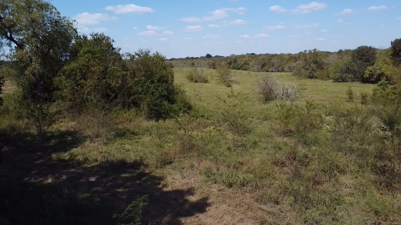 1,220 acres in Navarro County - photo 20