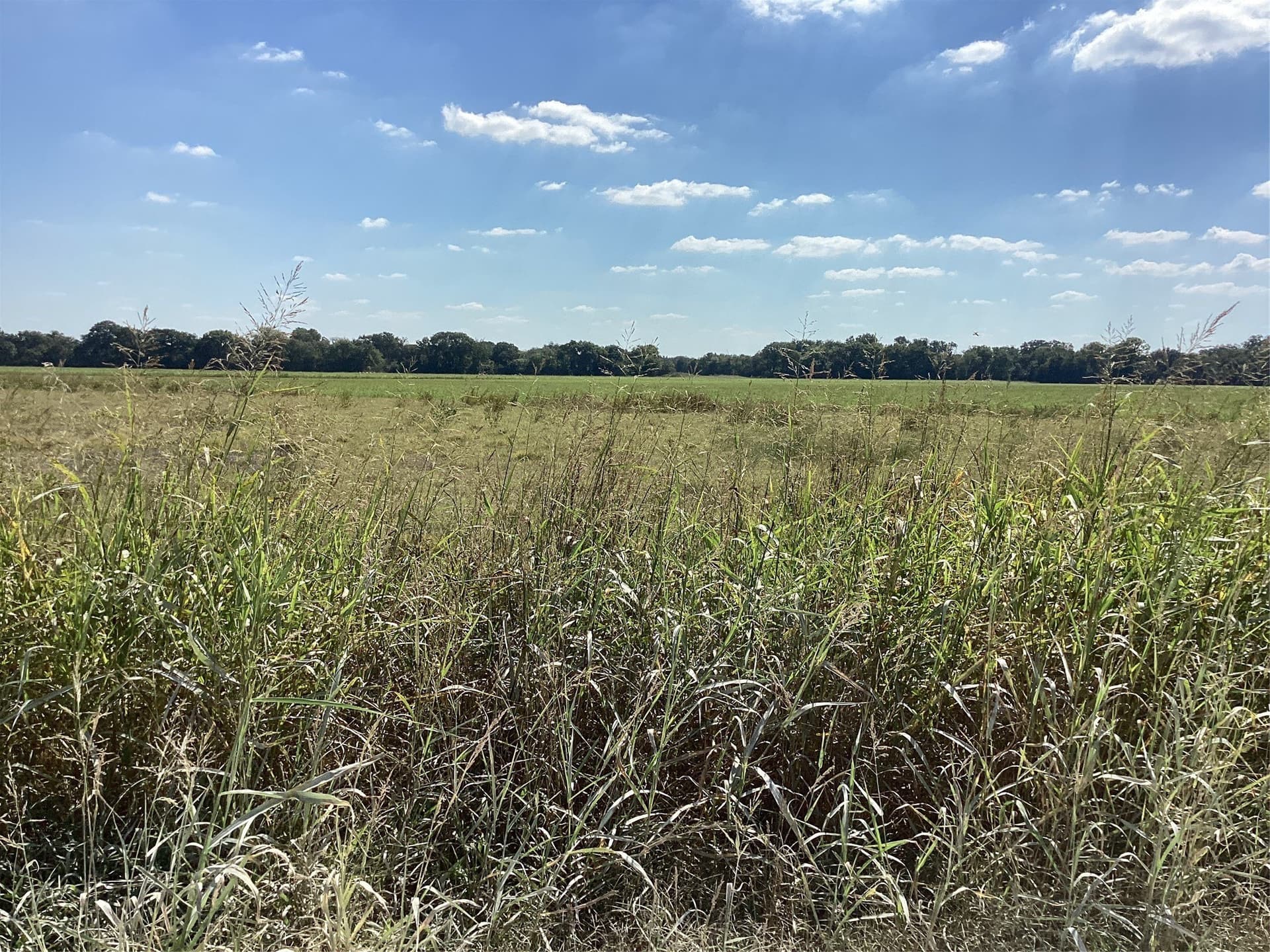 1,220 acres in Navarro County - photo 8