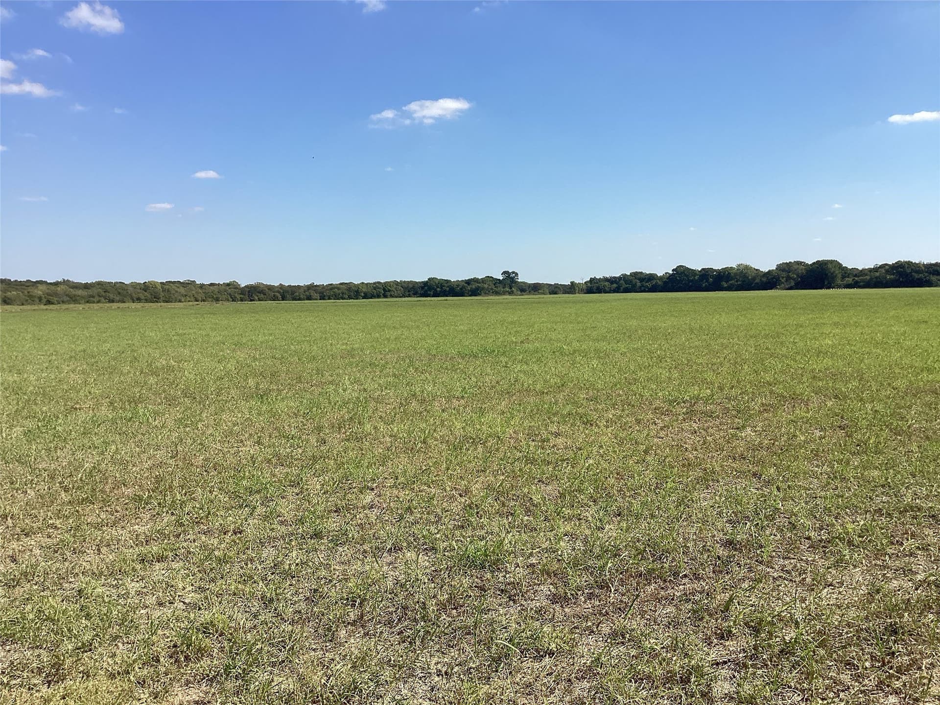 1,220 acres in Navarro County featured view