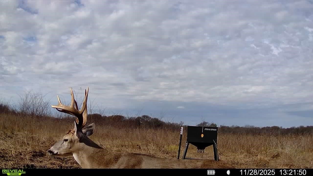 1,220 acres in Navarro County - photo 36