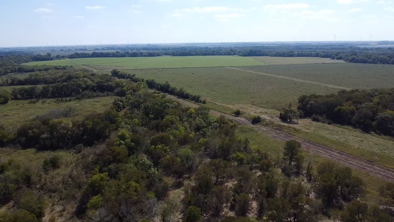 1,220 acres in Navarro County - photo 28