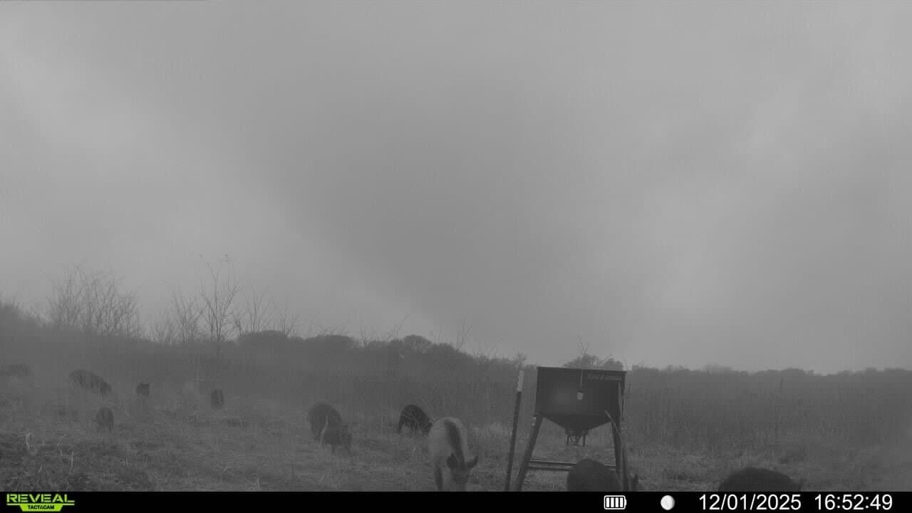 1,220 acres in Navarro County - photo 39