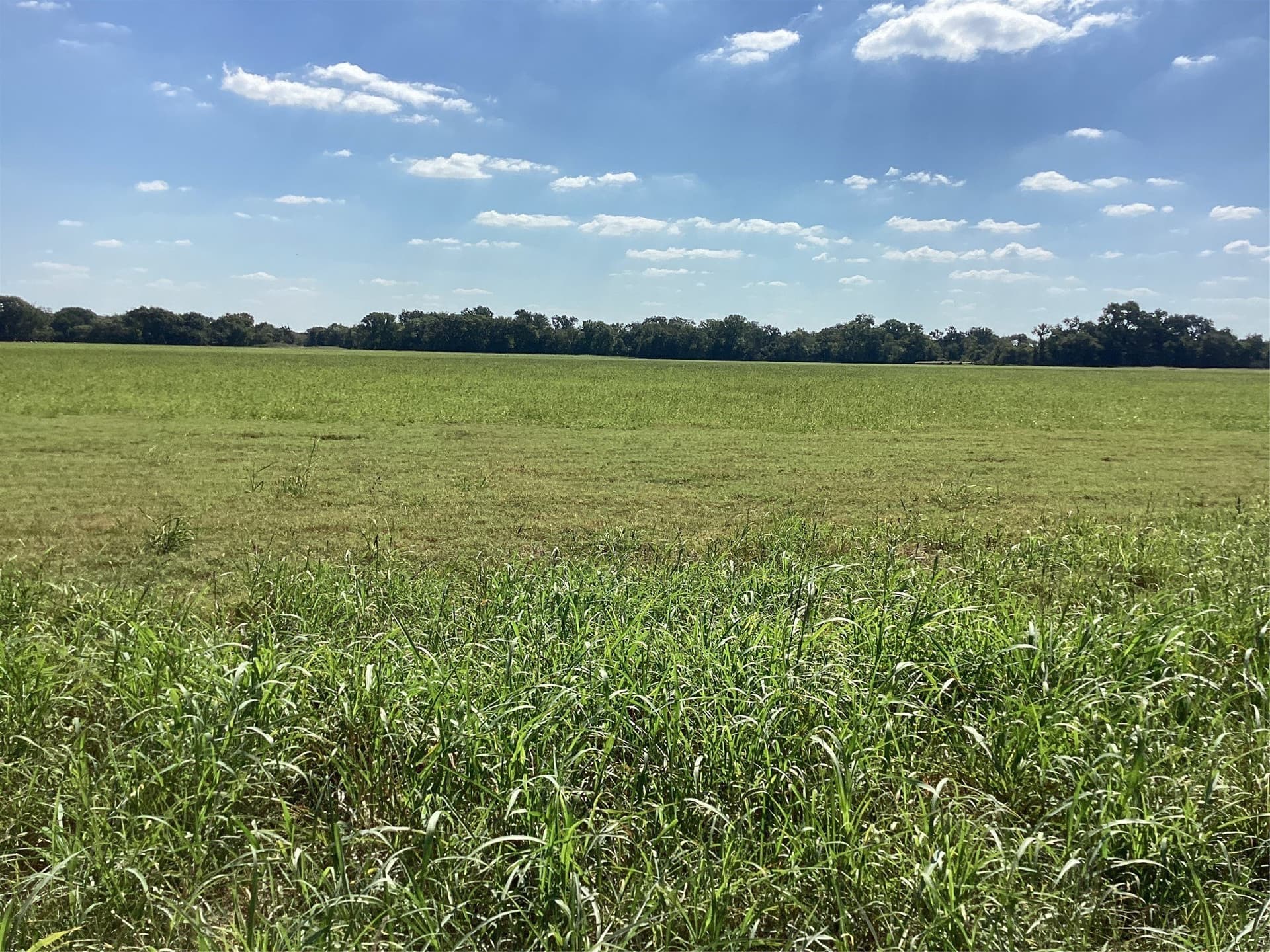 1,220 acres in Navarro County - photo 32
