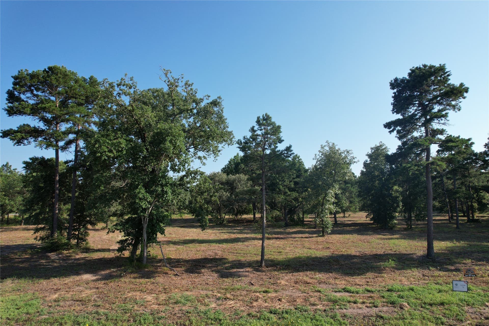 3.04 acres in Henderson County - photo 2