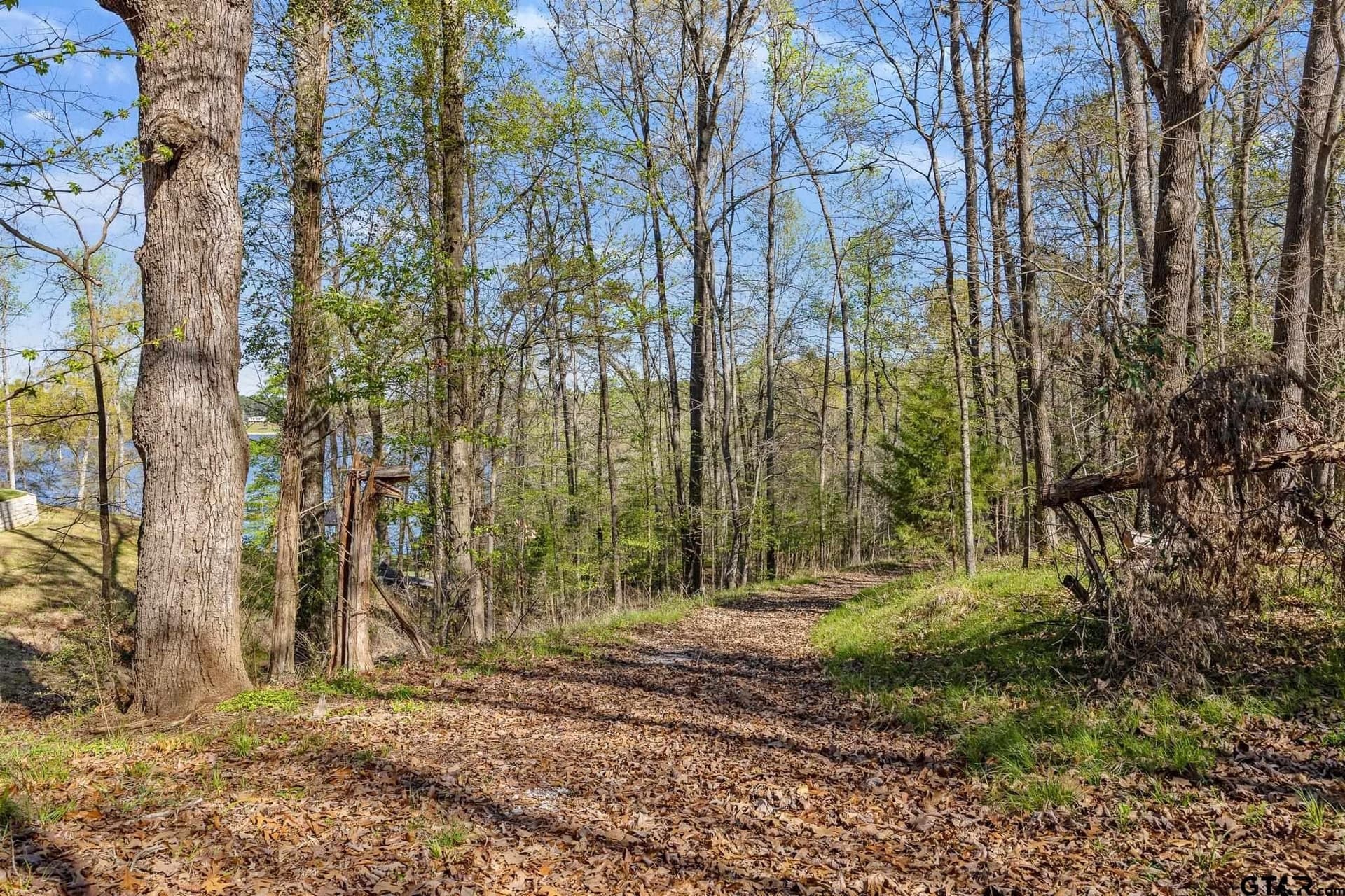 1.01 acres in Smith County gallery image 3