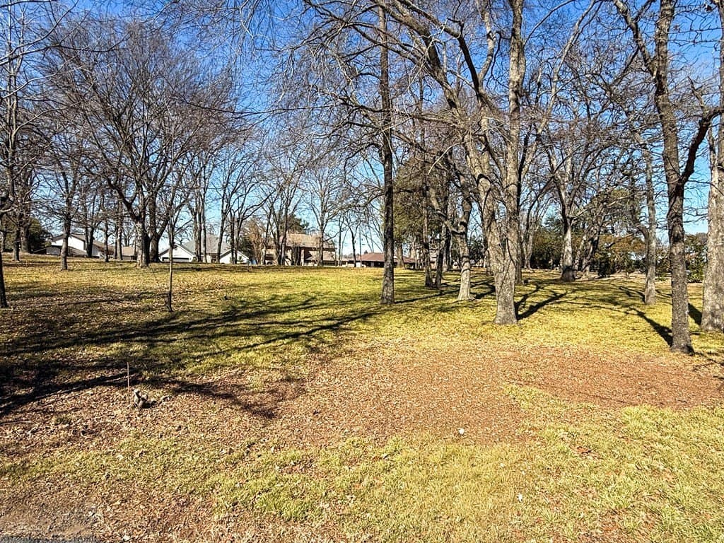 0.24 acres in Henderson County gallery image 4