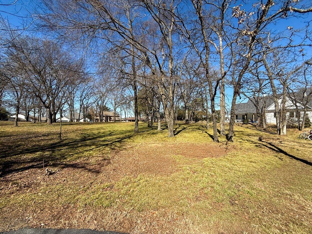 0.24 acres in Henderson County gallery image 3