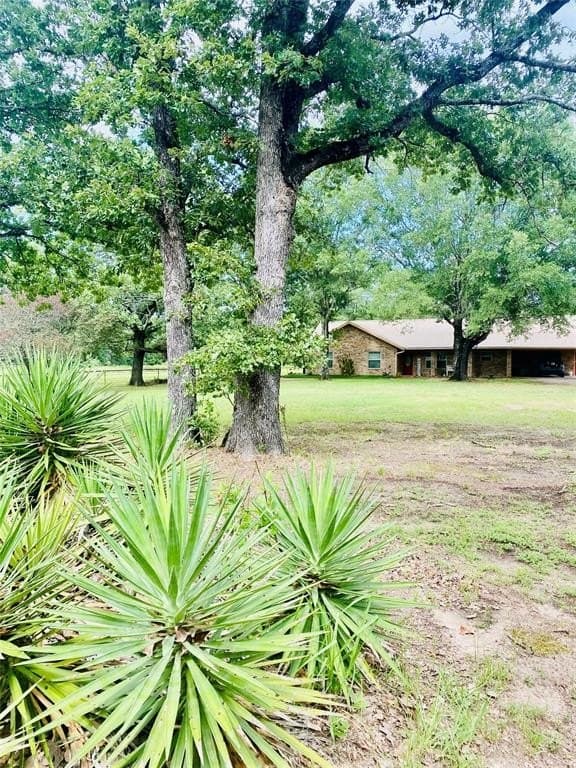 10.27 acres in Red River (TX) County