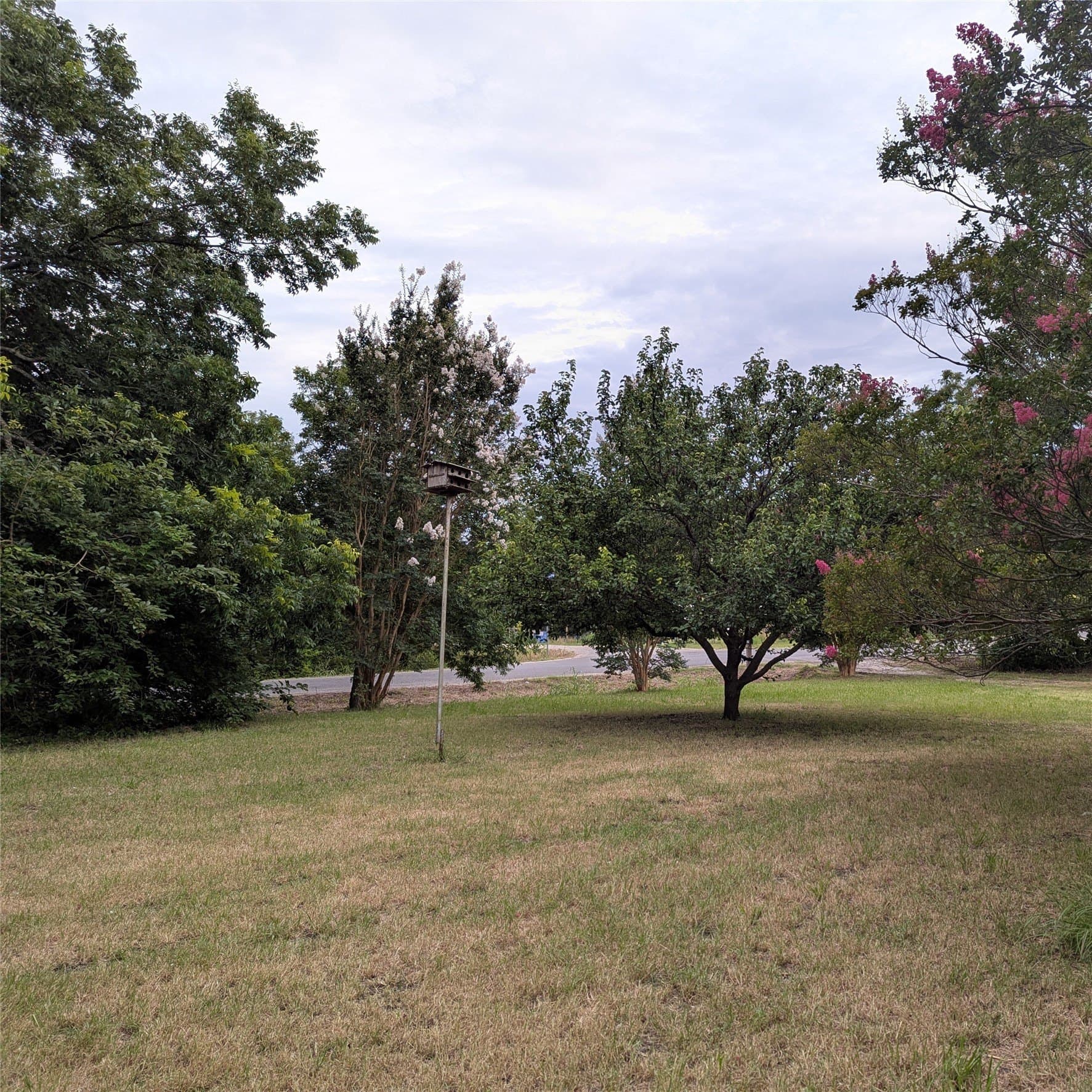 0.51 acres in Collin County - photo 5