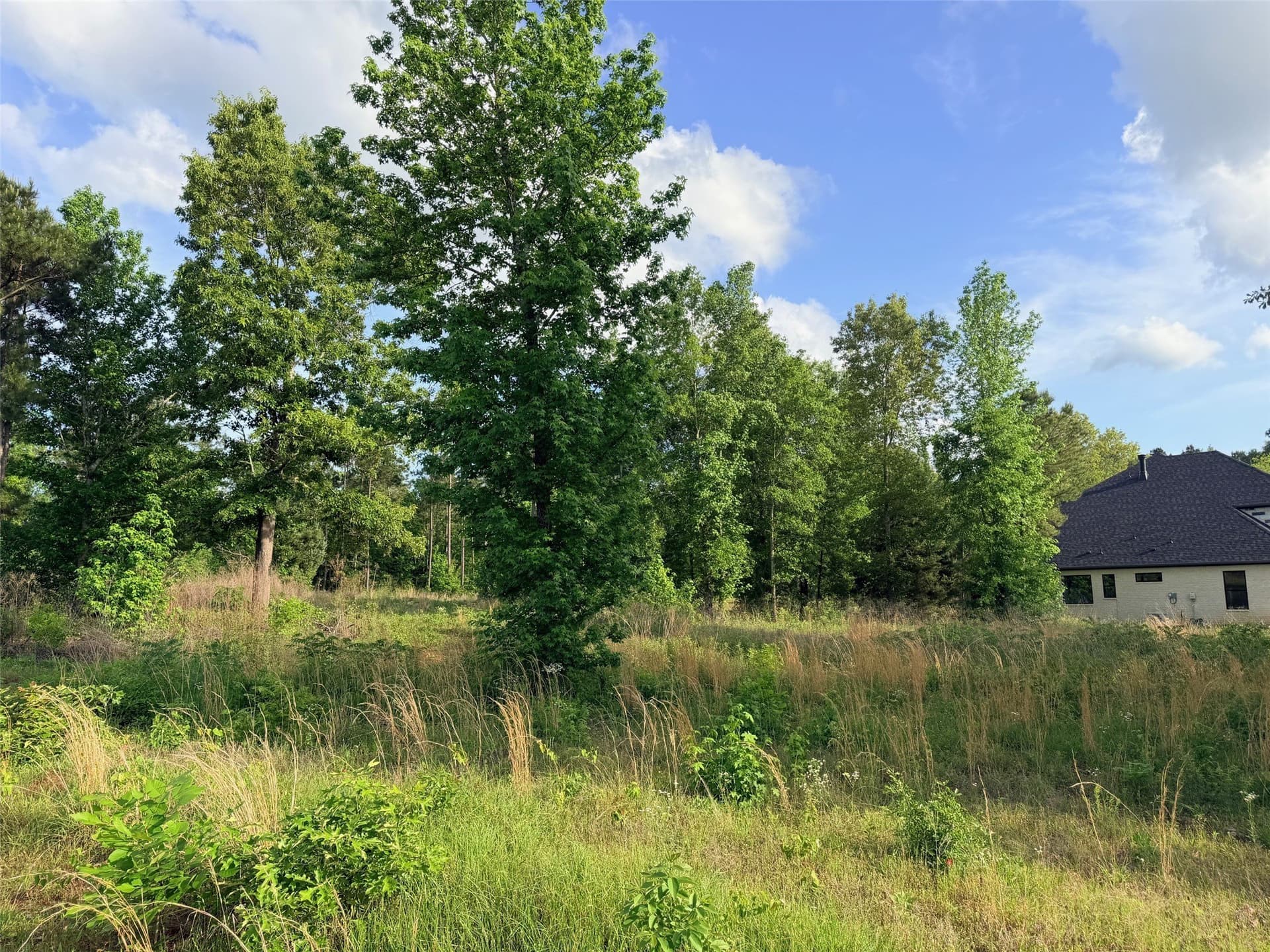 1.03 acres in Cherokee County - photo 8