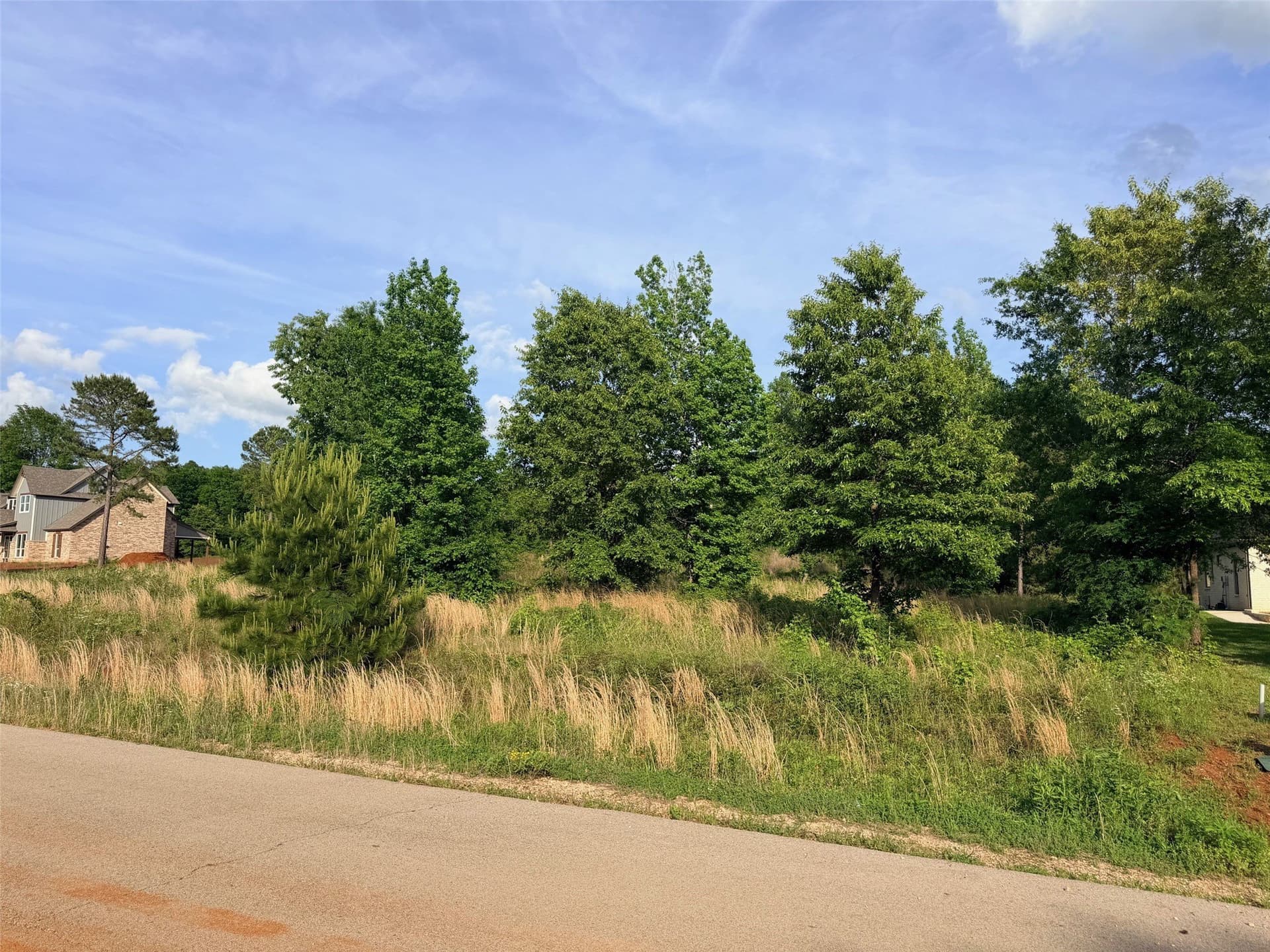 1.03 acres in Cherokee County - photo 11