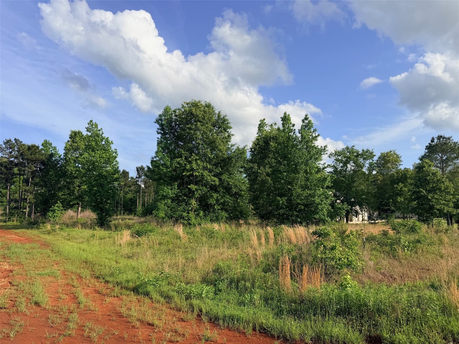 1.03 acres in Cherokee County - photo 9
