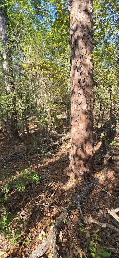 0.19 acres in Texas County gallery image 3