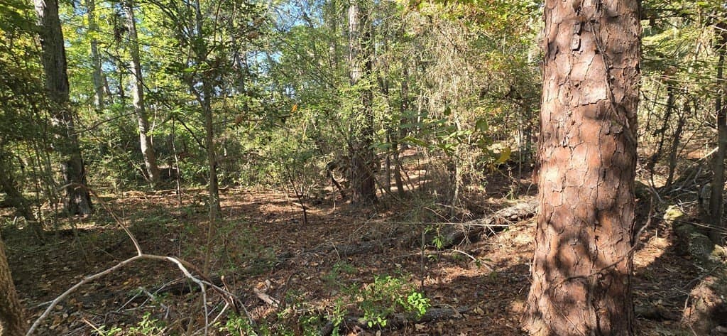 0.19 acres in Texas County gallery image 4