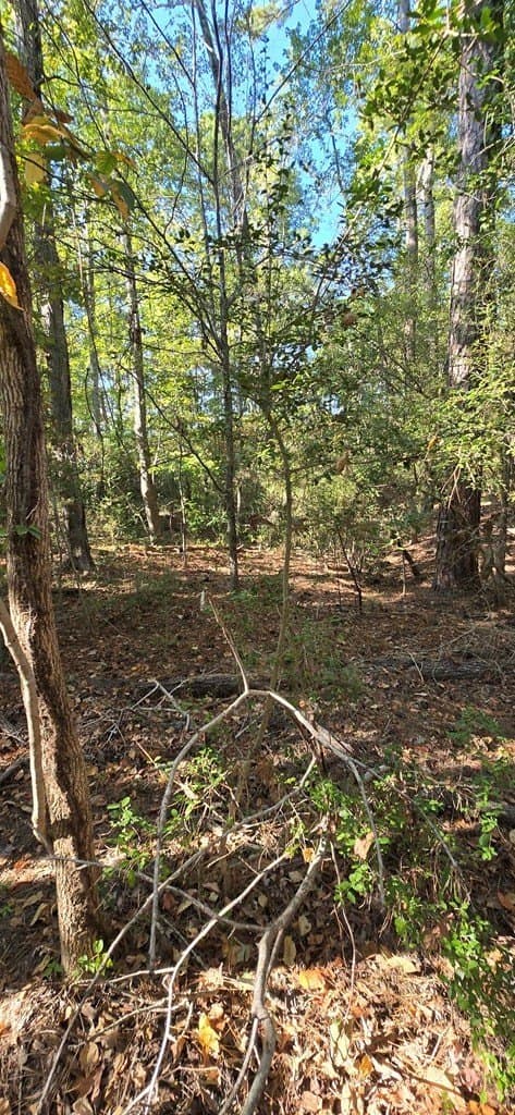 0.19 acres in Texas County featured view