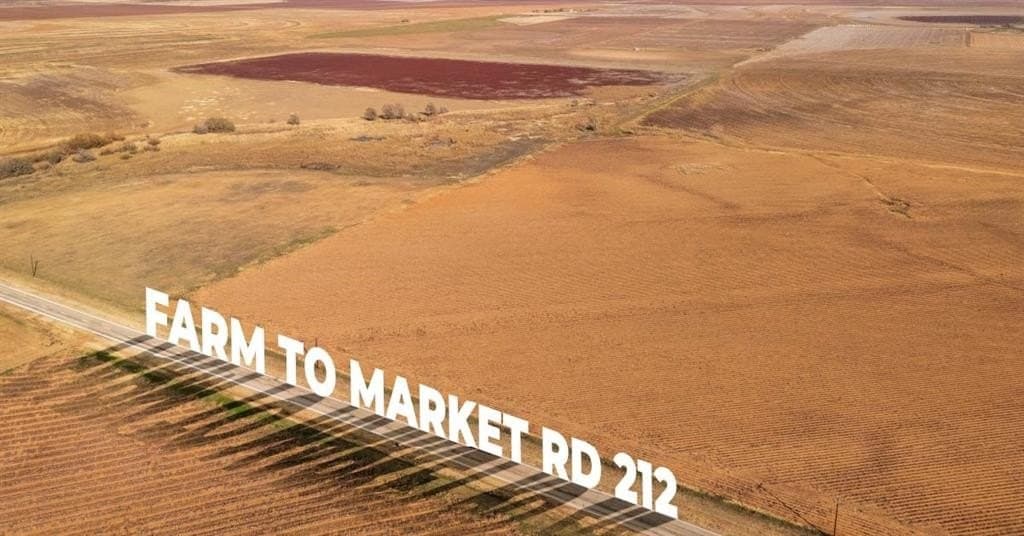 16 acres in Lynn County gallery image 3