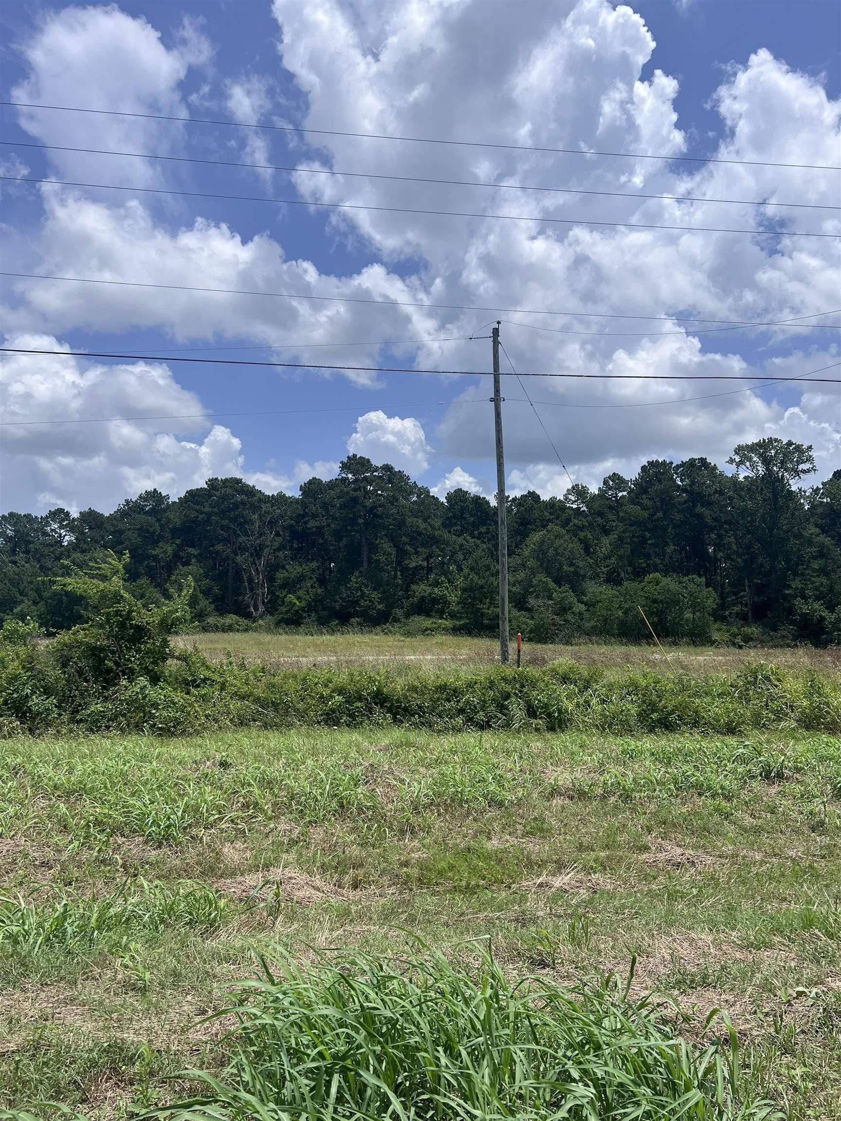 1.99 acres in Shelby County - photo 8