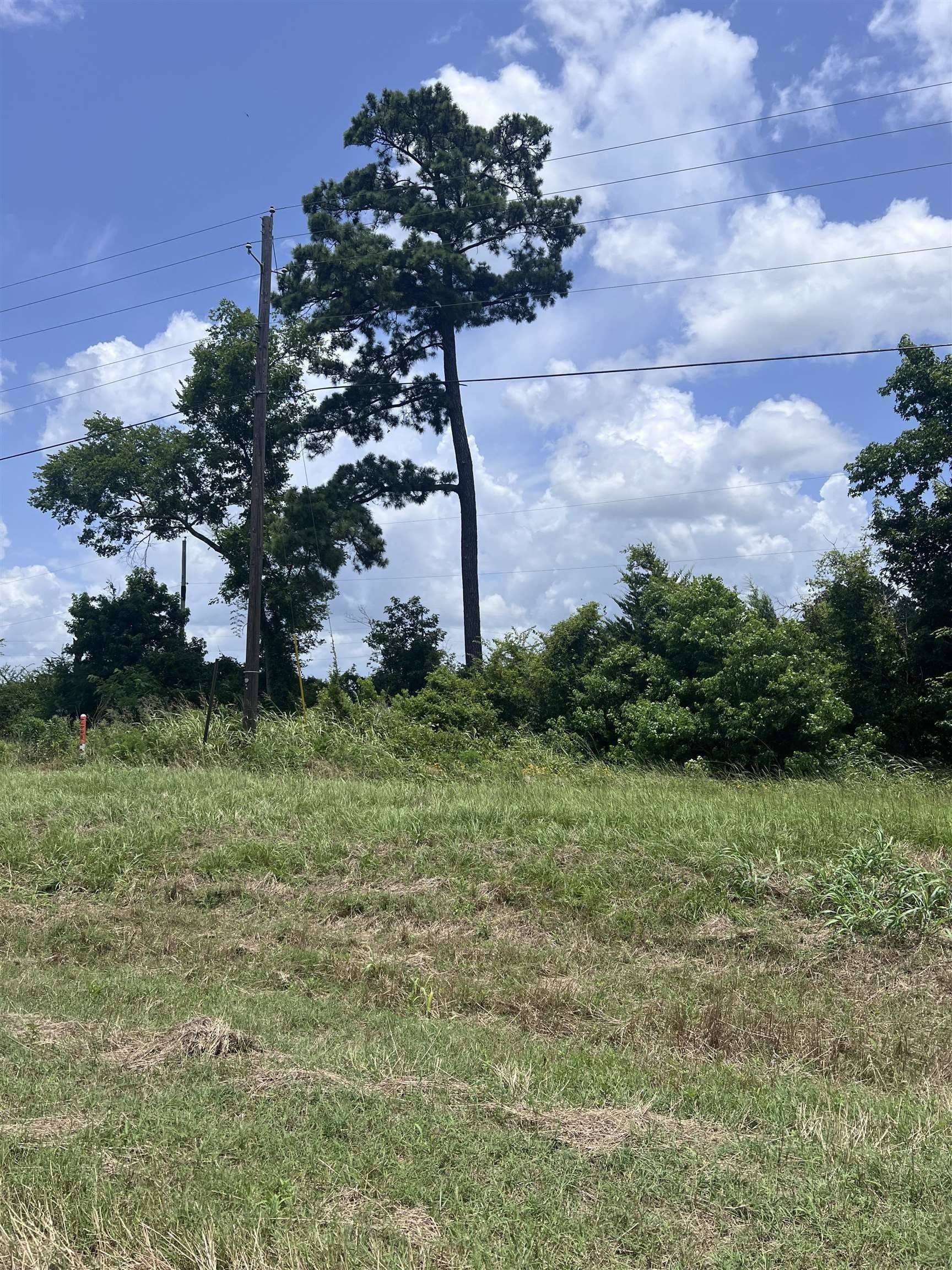 1.99 acres in Shelby County - photo 7