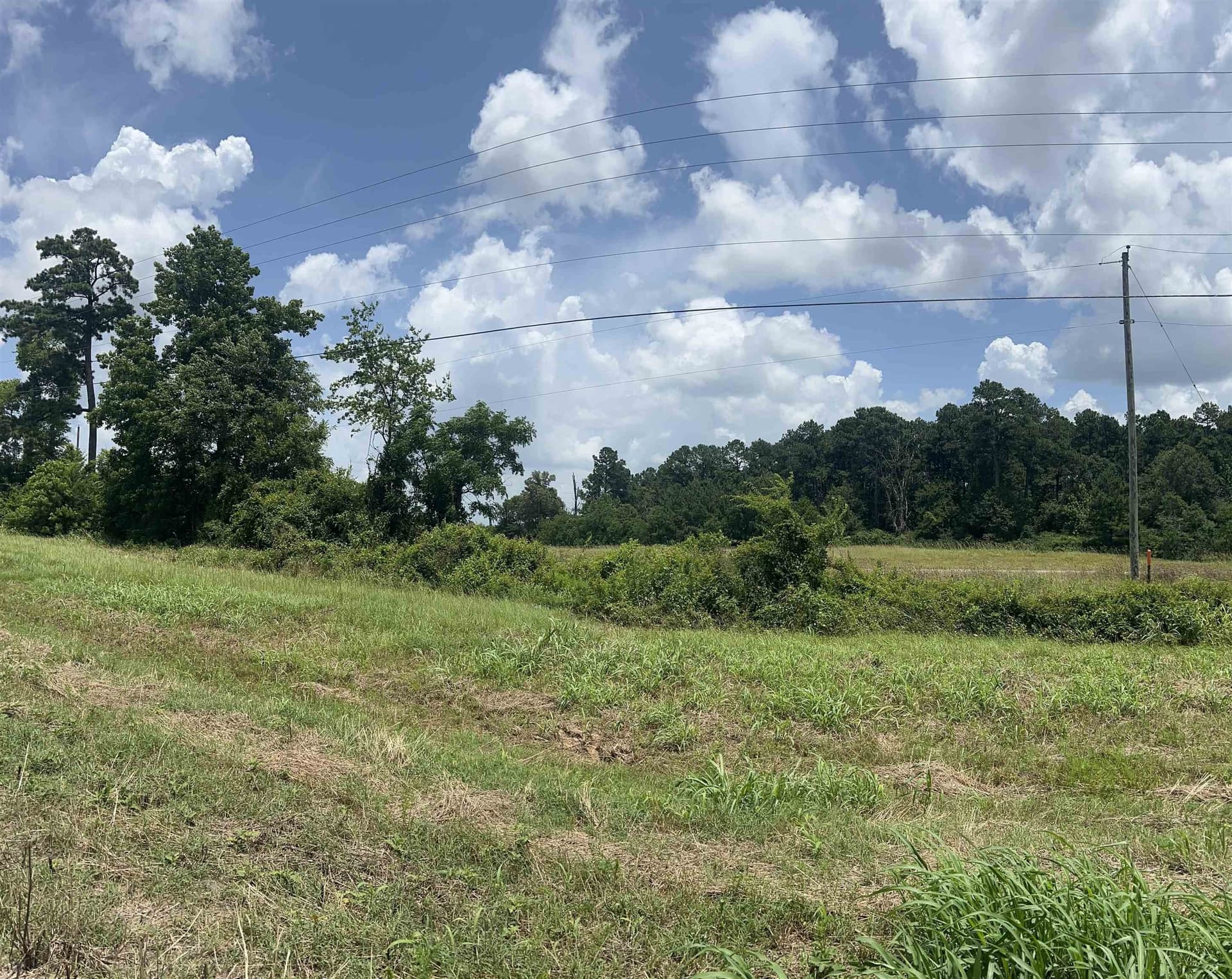 1.99 acres in Shelby County - photo 9